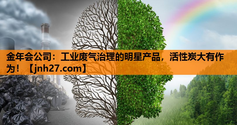 金年会公司：工业废气治理的明星产品，活性炭大有作为！